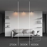 Maytoni Technical Luna Трековый светильник цвет: черный TR185-1-3W4K-B