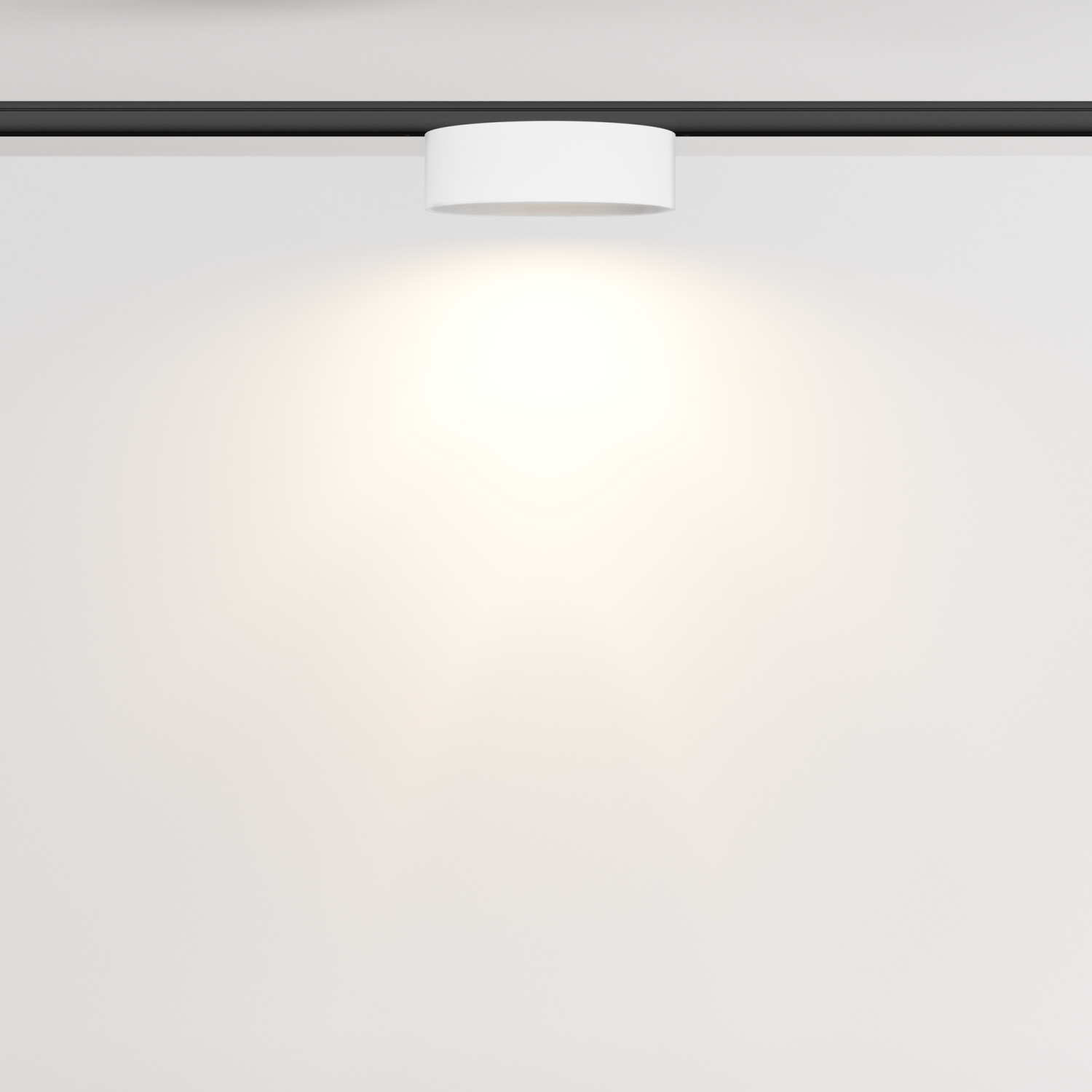 Maytoni Technical Zon Трековый светильник цвет: черный TR189-1-12W3K-BW