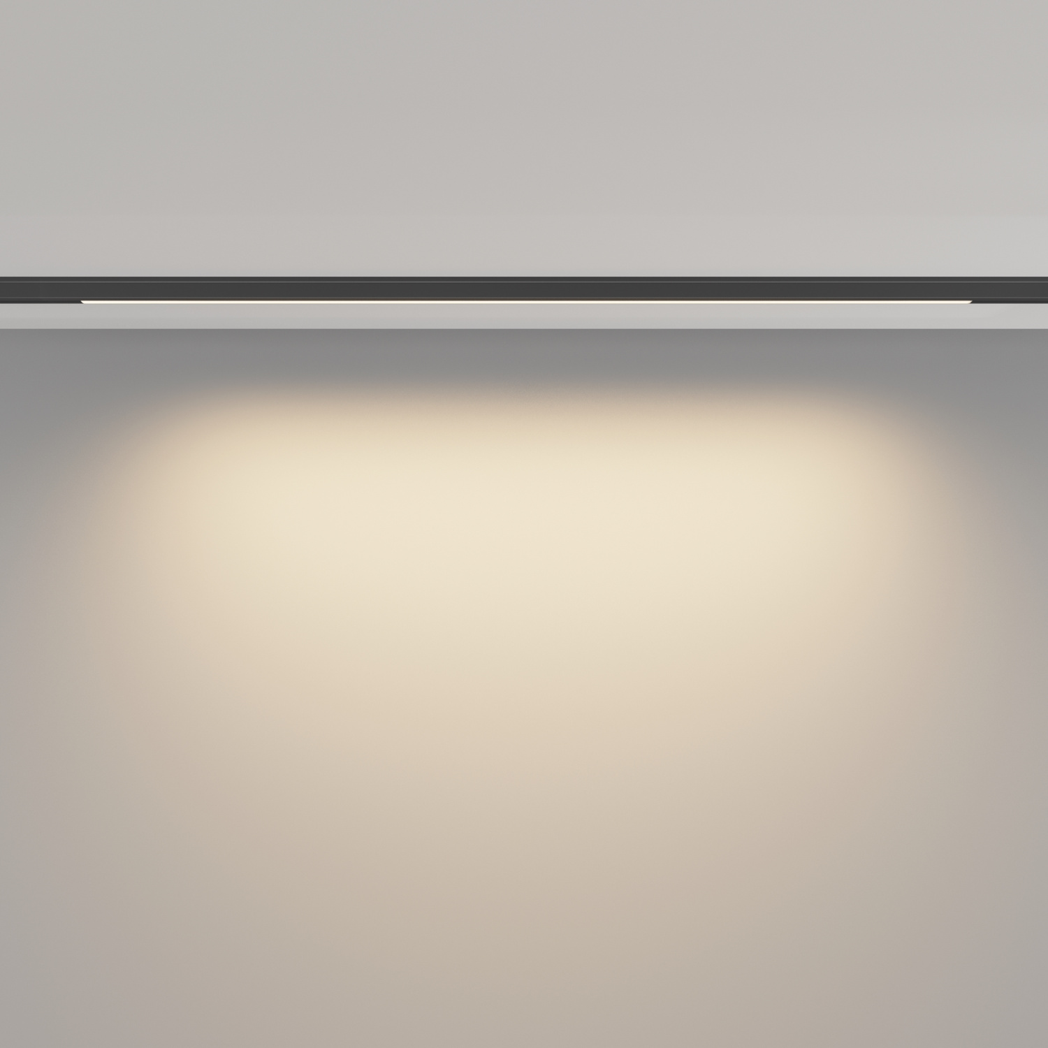 Maytoni Technical Basis Трековый светильник цвет: черный TR190-1-10W3K-B