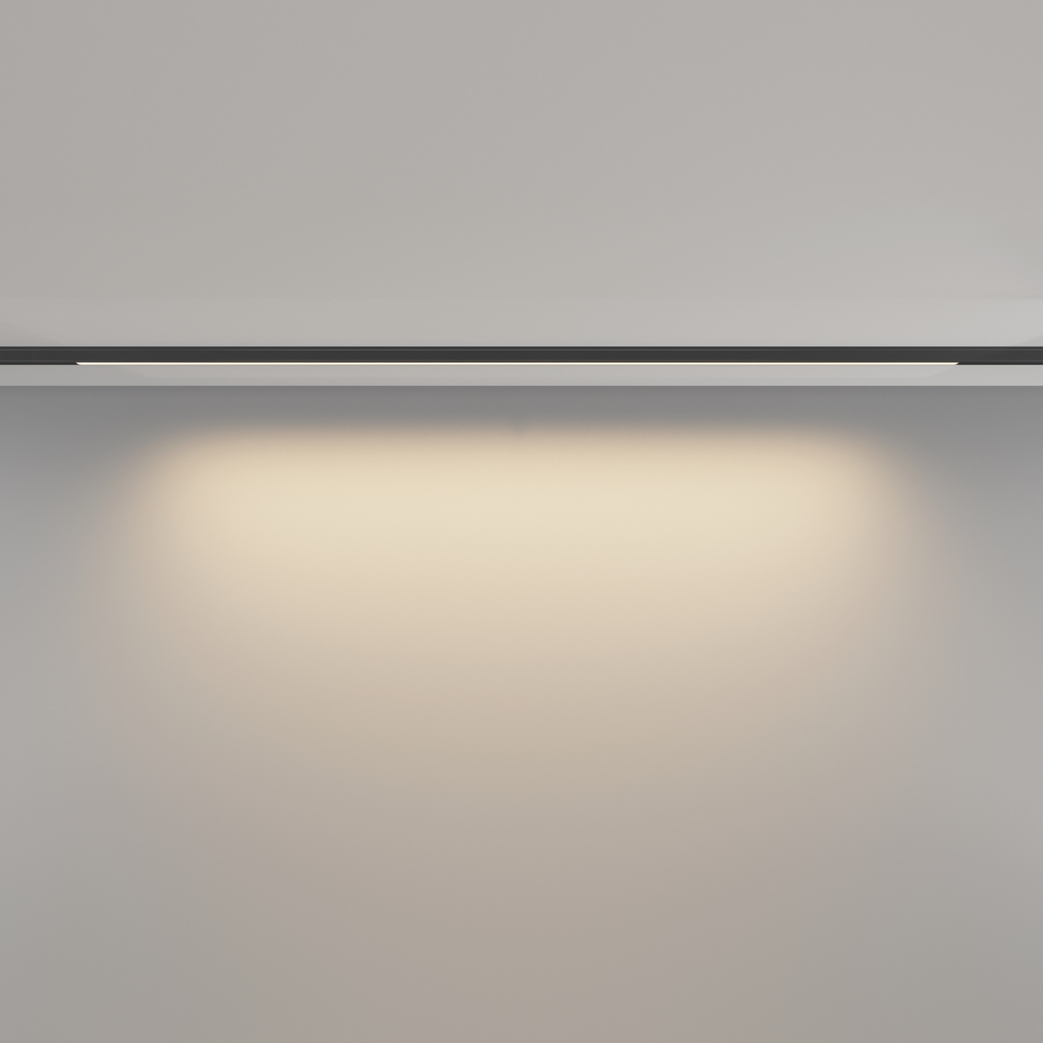 Maytoni Technical Basis Трековый светильник цвет: черный TR190-1-15W3K-B