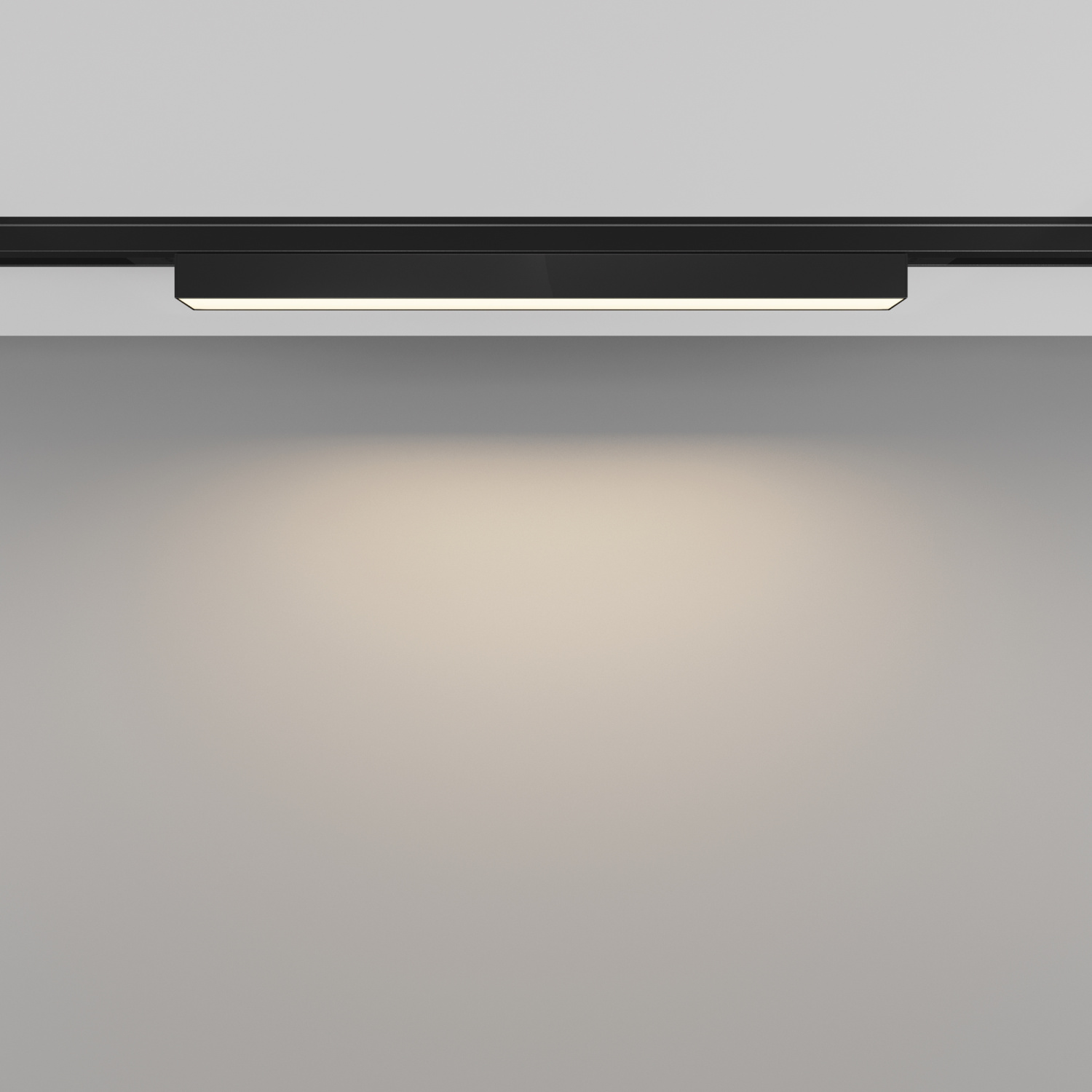 Maytoni Technical Basis Трековый светильник цвет: черный TR192-1-8W3K-B