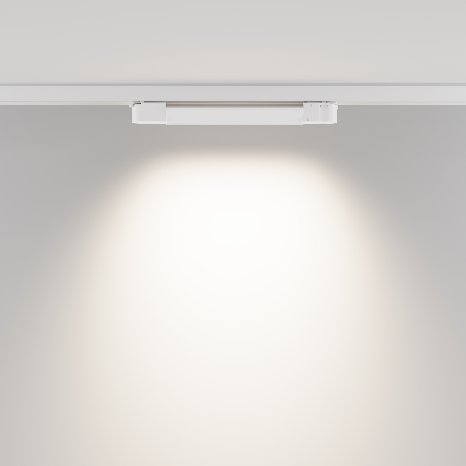 Maytoni Technical Basis Трековый светильник цвет: белый TR196-3-10W4K-W