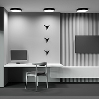 Maytoni Technical Zon Потолочный светильник цвет: черный C032CL-45W3K-RD-B