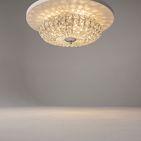 Maytoni Modern Broche Люстра цвет: никель DIA902-04-N