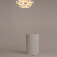 Maytoni Modern Broche Люстра цвет: никель DIA902-04-N