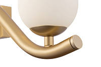 Maytoni Modern Uva Настенный светильник (бра) цвет: золото MOD059WL-05G