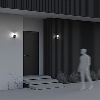 Maytoni Outdoor Bronx Настенный светильник (бра) цвет: серый O576WL-01GR