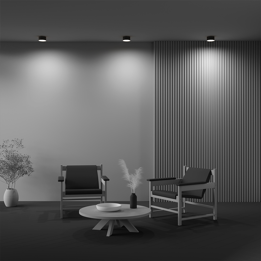 Maytoni Technical Zon Потолочный светильник цвет: черный C032CL-12W3K-RD-B