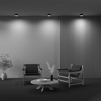 Maytoni Technical Zon Потолочный светильник цвет: черный C032CL-12W3K-RD-B