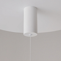 Maytoni Technical Ray Подвесной светильник цвет: белый P022PL-L20W3K