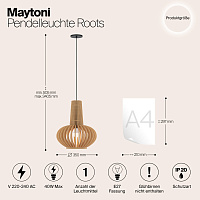 Maytoni Modern Roots Подвесной светильник цвет: черный MOD193PL-01W1
