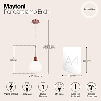 Maytoni Modern Erich Подвесной светильник цвет: латунь MOD221-PL-01-G