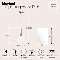 Maytoni Modern Erich Подвесной светильник цвет: латунь MOD221-PL-01-G