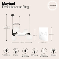 Maytoni Modern Ring Подвесной светильник цвет: черный MOD013PL-04B