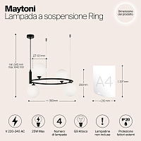 Maytoni Modern Ring Подвесной светильник цвет: черный MOD013PL-04B