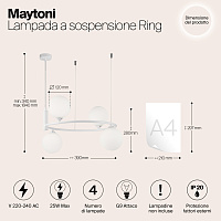 Maytoni Modern Ring Подвесной светильник цвет: белый MOD013PL-04W
