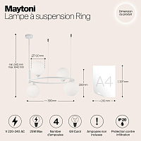 Maytoni Modern Ring Подвесной светильник цвет: белый MOD013PL-04W