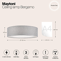 Maytoni Modern Bergamo Потолочный светильник цвет: хром MOD613CL-04GR