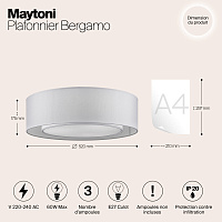 Maytoni Modern Bergamo Потолочный светильник цвет: хром MOD617CL-04GR