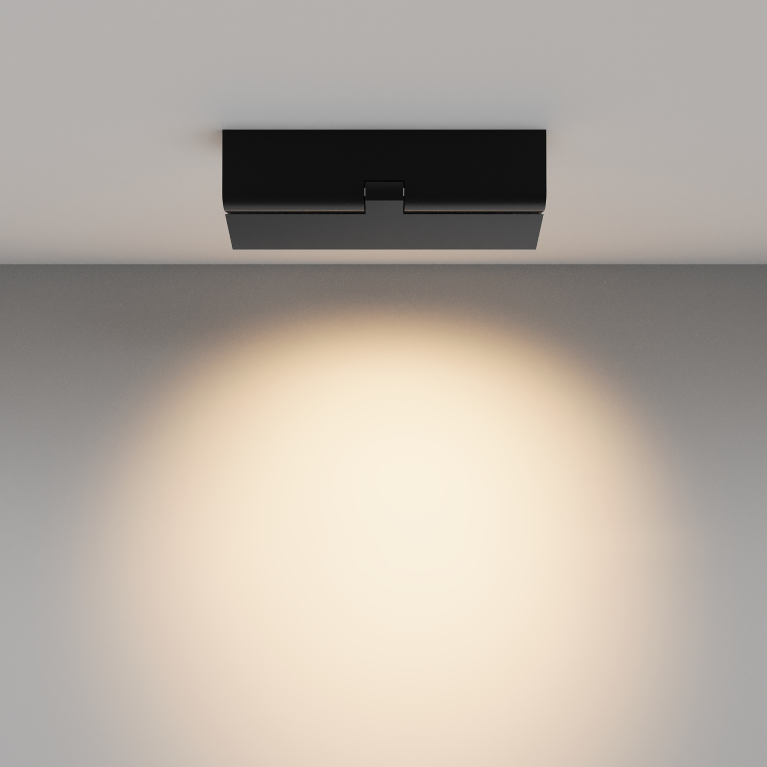 Maytoni Technical Points rot Потолочный светильник цвет: черный C136CL-12W3K-B