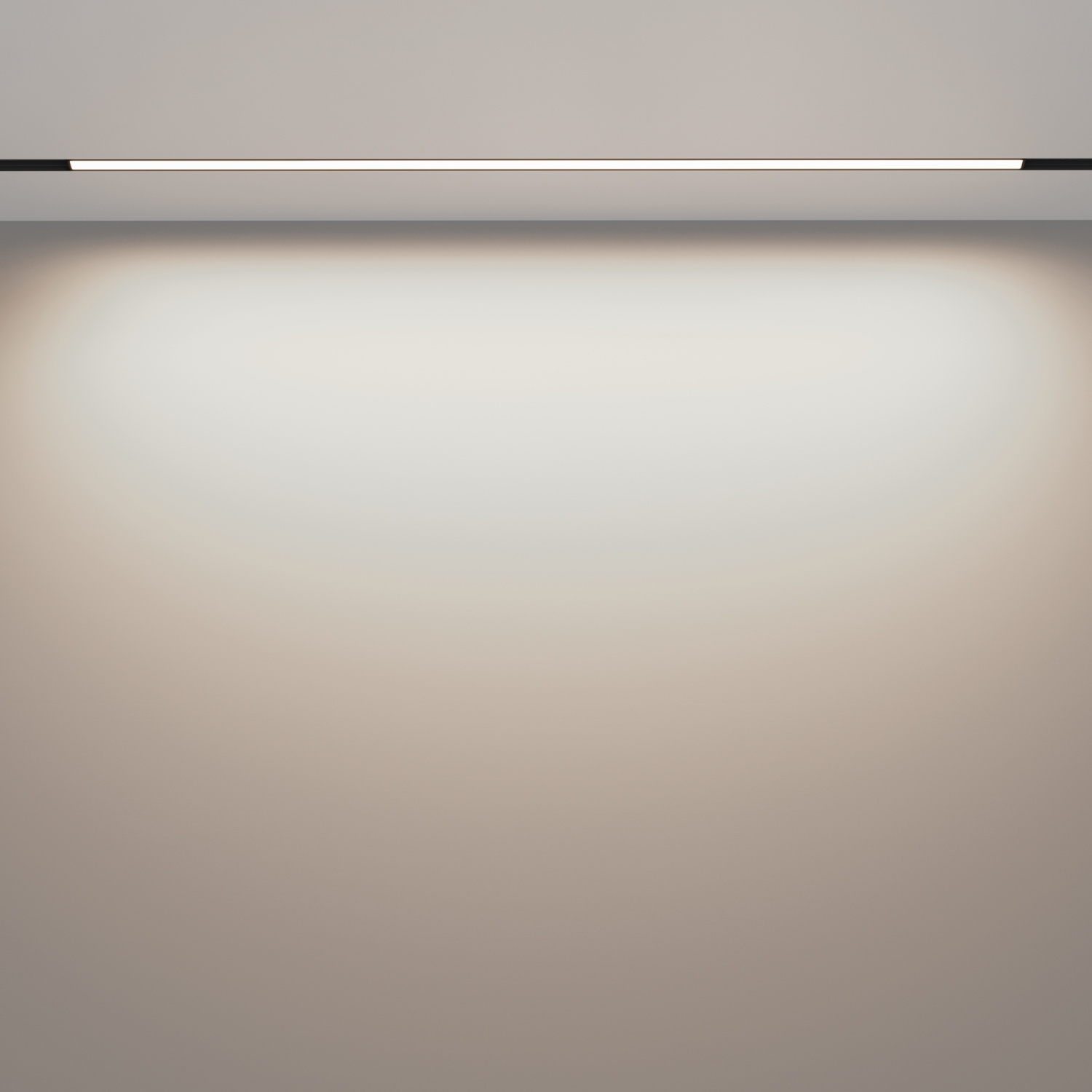 Maytoni Technical Basis Трековый светильник цвет: черный TR030-2-30W4K-B