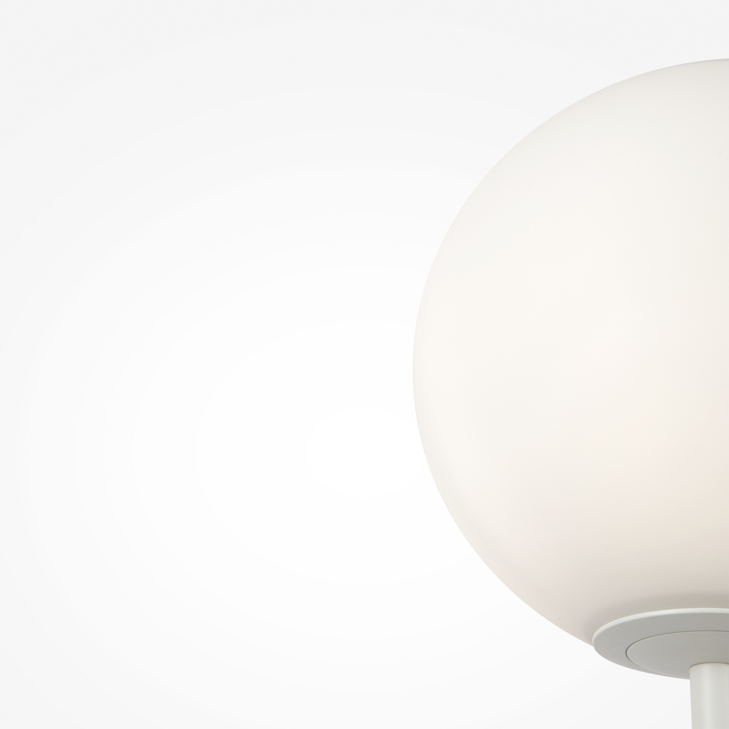 Maytoni Modern Ring Напольный светильник (торшер) цвет: белый MOD013FL-01W