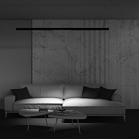 Maytoni Technical Points Трековый светильник цвет: черный TR031-2-24W3K-B