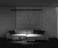 Maytoni Technical Points Трековый светильник цвет: черный TR031-2-24W3K-B