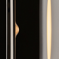 Maytoni Modern Theorema Настенный светильник (бра) цвет: хром MOD288WL-L5CH3K