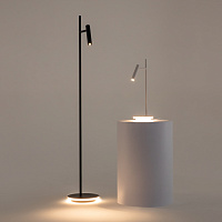 Maytoni Modern Estudo Настольный светильник цвет: белый Z010TL-L8W3K