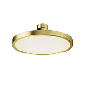 Maytoni Technical Plato Трековый светильник цвет: латунь TR153-1-10W3K-BS