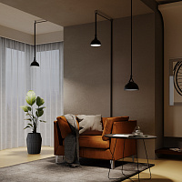 Maytoni Technical Bowl Подвесной светильник цвет: черный TR126B-20W4K-B