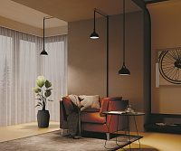 Maytoni Technical Bowl Подвесной светильник цвет: черный TR126B-20W4K-B