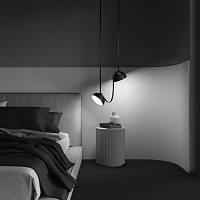 Maytoni Technical Bowl Подвесной светильник цвет: черный TR126B-20W4K-B