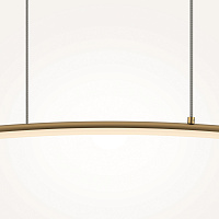 Maytoni Modern Curve Подвесной светильник цвет: латунь MOD243PL-L18BSK