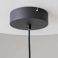 Maytoni Modern Futuro Подвесной светильник цвет: черный MOD307PL-L24B3K