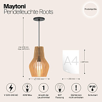 Maytoni Modern Roots Подвесной светильник цвет: черный MOD191PL-01W1