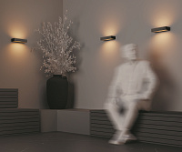 Maytoni Outdoor Lot Настенный светильник (бра) цвет: графит O428WL-L20GF3K