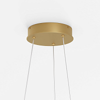 Maytoni Modern Rim Подвесной светильник цвет: латунь MOD058PL-L65BSK