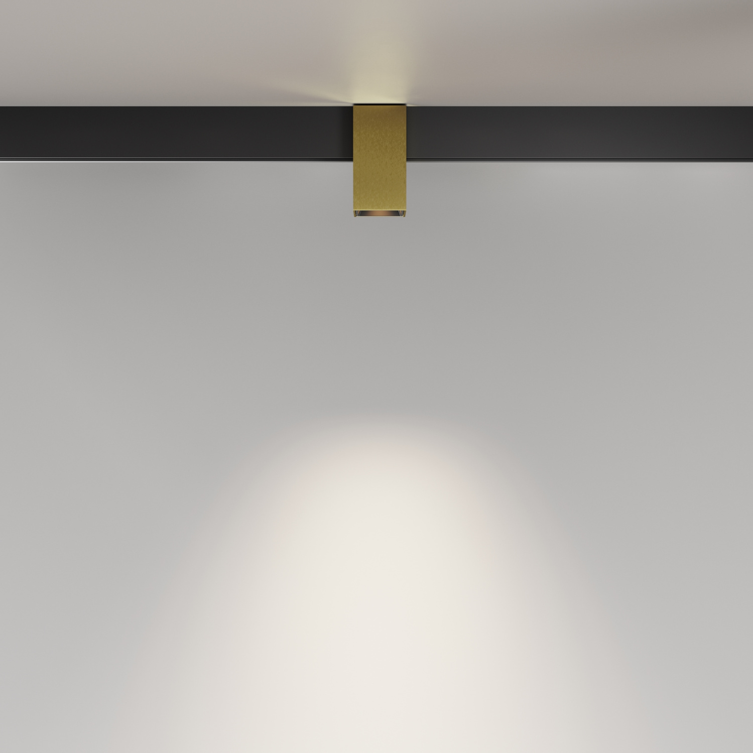 Maytoni Technical Alfa Трековый светильник цвет: латунь TR121-2-7W4K-BS