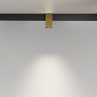 Maytoni Technical Alfa Трековый светильник цвет: латунь TR121-2-7W4K-BS