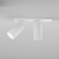 Maytoni Technical FOCUS S Потолочный светильник цвет: белый C051CL-U-2W