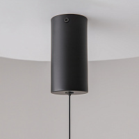 Maytoni Technical Ray Подвесной светильник цвет: черный P022PL-L10B