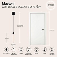 Maytoni Technical Ray Подвесной светильник цвет: черный P022PL-L10B