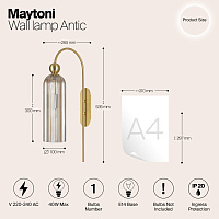 Maytoni Modern Antic Настенный светильник (бра) цвет: золото MOD302WL-01CG