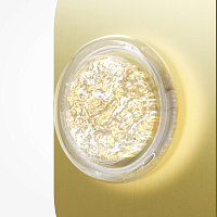 Maytoni Modern Pharao Настенный светильник (бра) цвет: латунь MOD361WL-L20BS3K