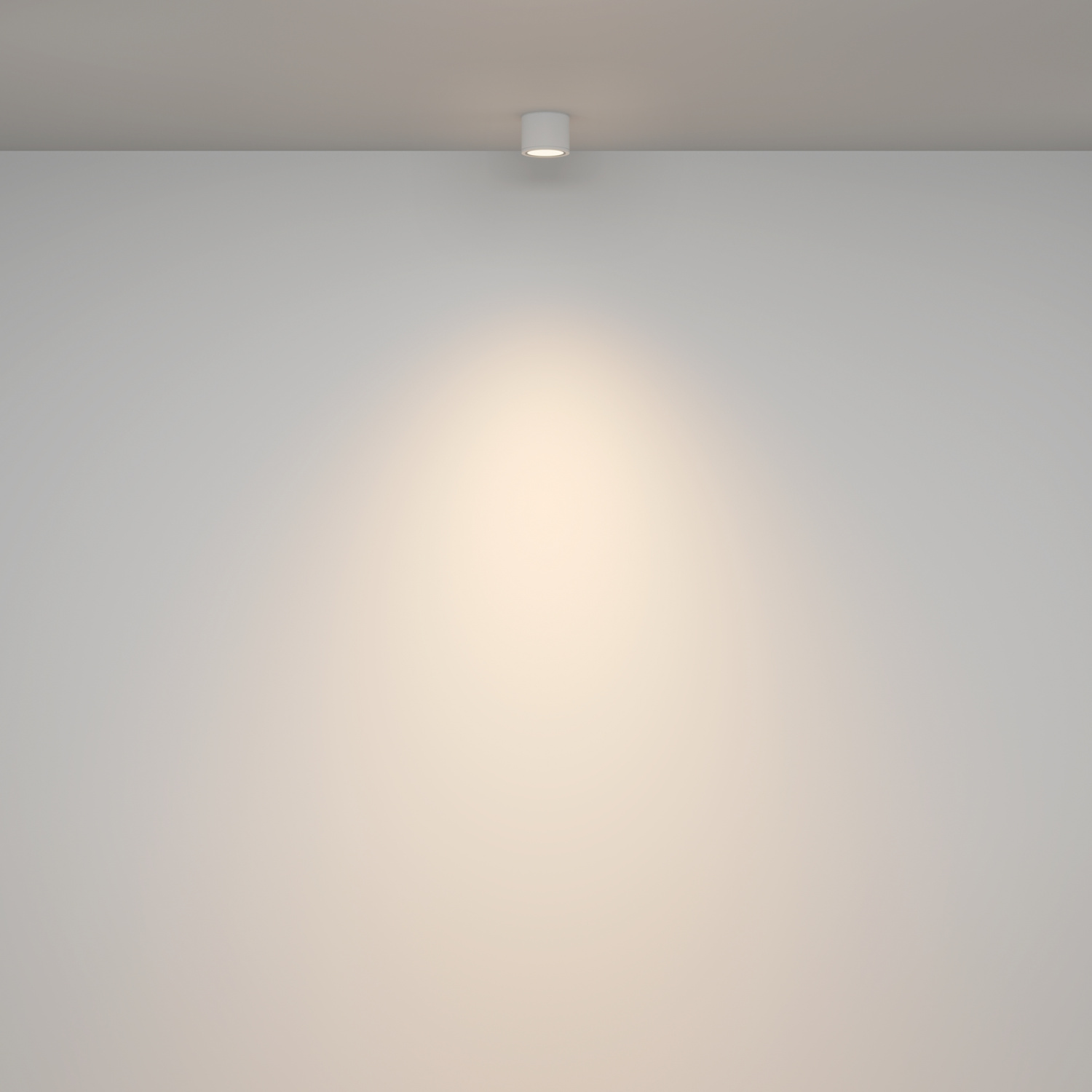 Maytoni Technical Rendo Потолочный светильник цвет: белый C095CL-GX53-W