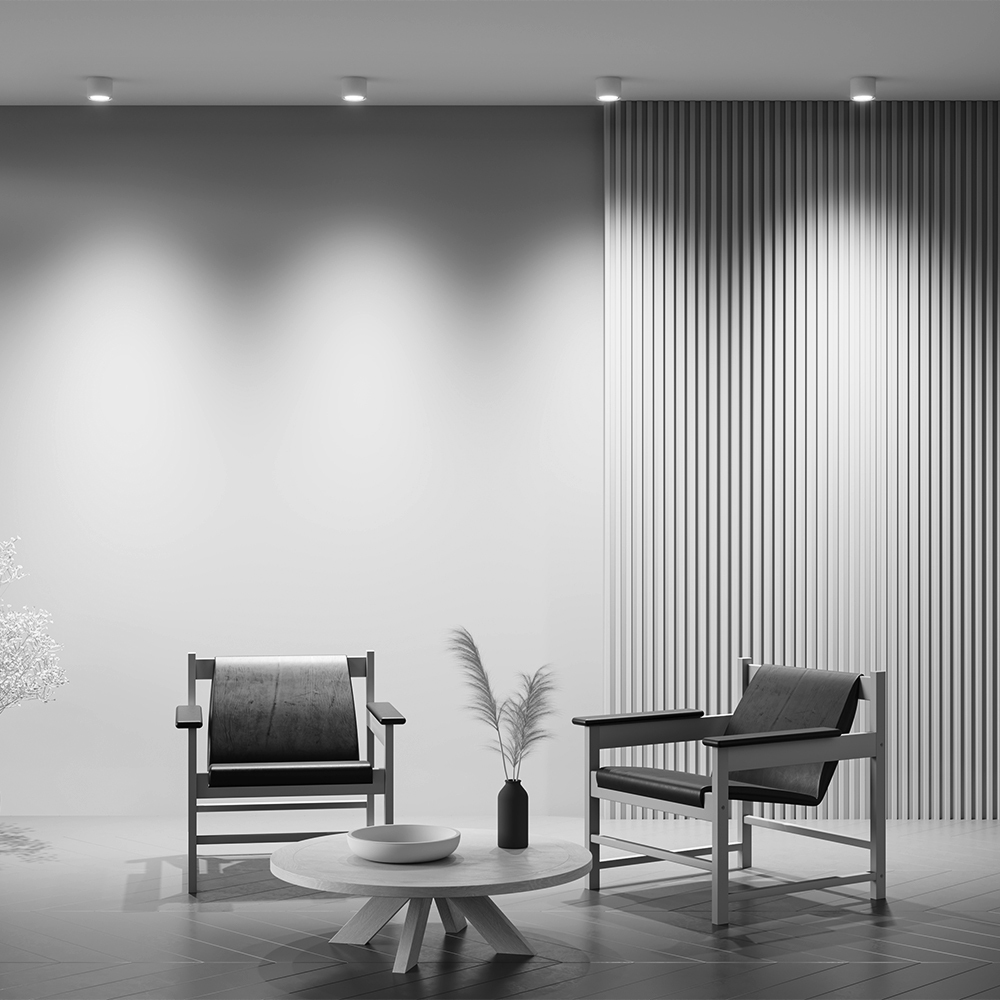 Maytoni Technical Rendo Потолочный светильник цвет: белый C095CL-GX53-W