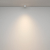 Maytoni Technical Rendo Потолочный светильник цвет: белый C095CL-GX53-W