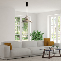 Maytoni Modern Bangkok Подвесной светильник цвет: черный MOD185PL-L6B3K6